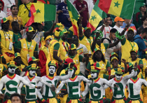 Африканские сборные на чемпионате мира — это особенное явление, яркое и самобытное. У них самые впечатляющие болельщики, красочная форма, а еще они регулярно обвиняют друг друга в колдовстве. Магия — неотъемлемая часть африканской культуры, которая не могла не затронуть футбол. «МК-Спорт» рассказывает, каких колдовских штучек ждать от Сенегала, Ганы и Камеруна.