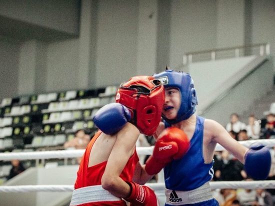 В Невинномысске стартовали соревнования по боксу на приз главы города