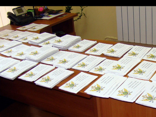 Долг по 96 штрафам ГИБДД взыскан с жительницы Владимирской области