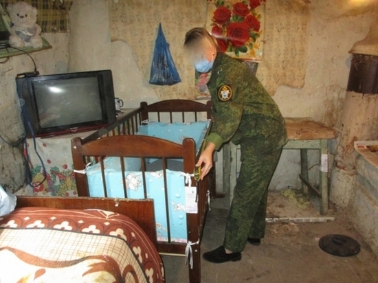 Следственный комитет в Воронеже организовал проверку сообщений о проживании людей в нечеловеческих условиях