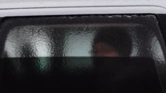 Застывшие деревья и обледеневшие машины: в Москве прошел ледяной дождь