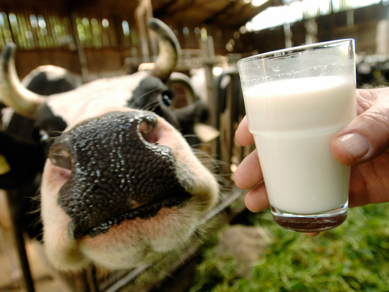 Кто попал в десятку лучших владимирских производителей молока