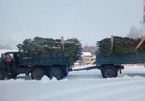 На трассе «Алтай — Кузбасс» полицейские задержали грузовик с прицепом