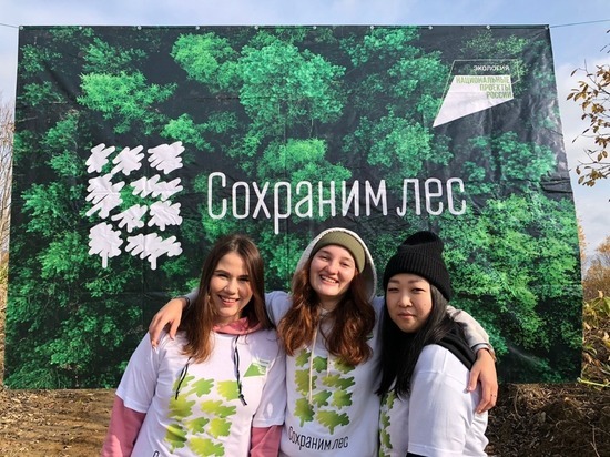 Десять тысяч новых деревьев посадили на Сахалине благодаря крупным экологическим акциям
