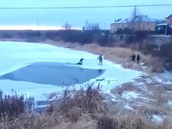 Костромской альтруизм: в селе Некрасово подростки спасли провалившуюся под лед собаку