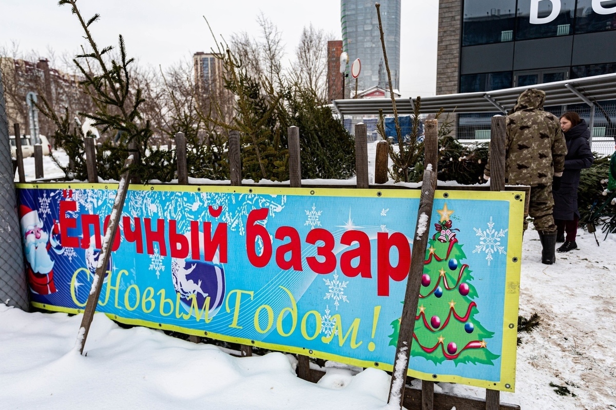 Елочные базары нанесли на карту Новосибирска - МК Новосибирск