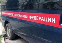 На жителя Белгородской области завели уголовное дело по факту изнасилования