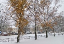Зимняя погода вернулась в Белгородскую область: ночью в облцентре и районах прошел сильный снегопад, а уличный термометр показал небольшой морозец