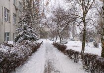 С утра 23 ноября и.о. мэра Белгорода Валентин Демидов проехался по заснеженному городу и рассказал, как облцентр борется со стихией