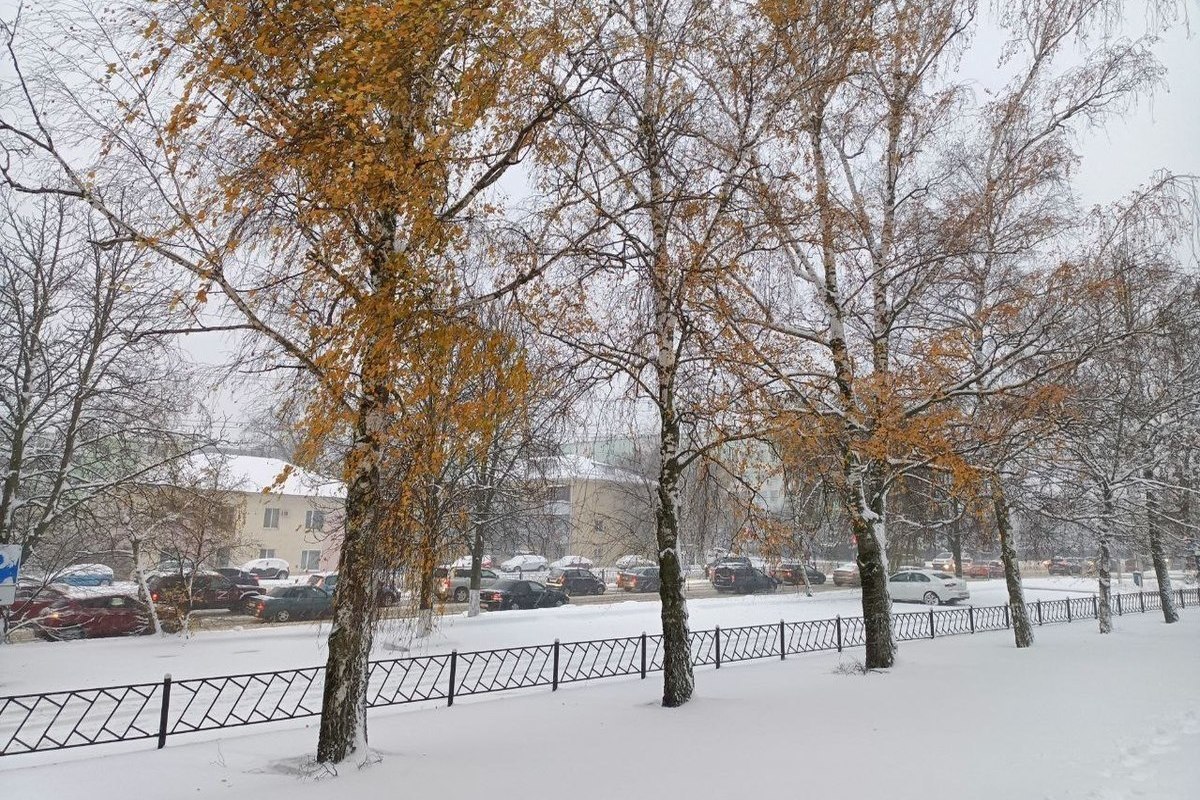 Снег Белгород. Погода зима.