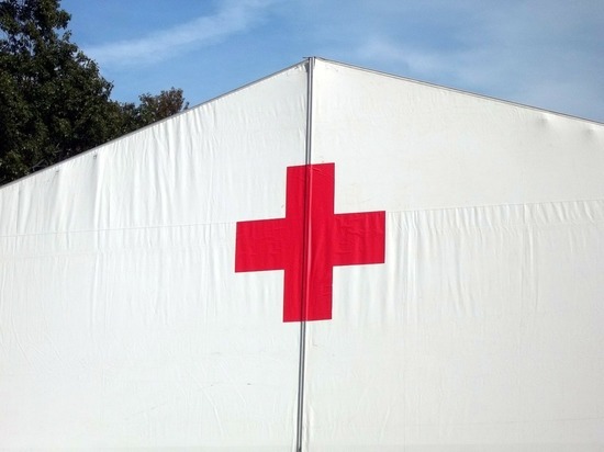 Красный Крест получил 5 тысяч заявок на поиск пропавших из-за украинского конфликта