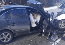Лобовое столкновение автомобилей Toyota Prius и Hyundai Grandeur произошло 23 ноября на 811-м километре федеральной автодороги Чита-Иркутск