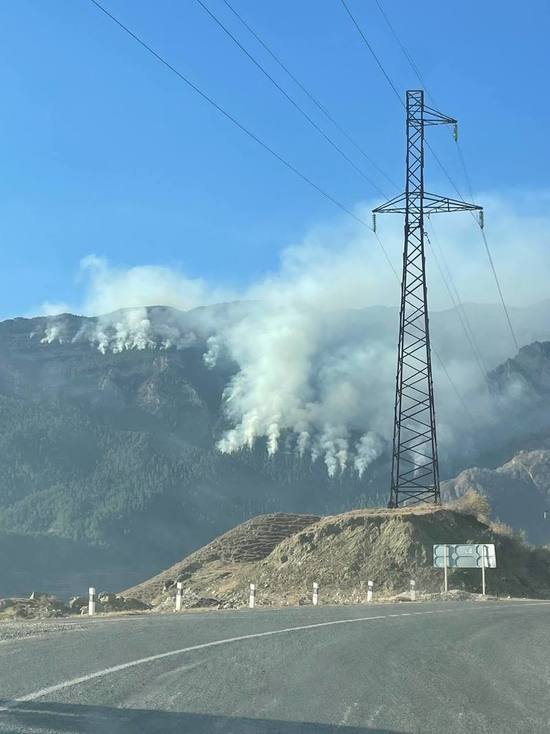 В Дагестане не могут потушить пожар в сосновом лесу