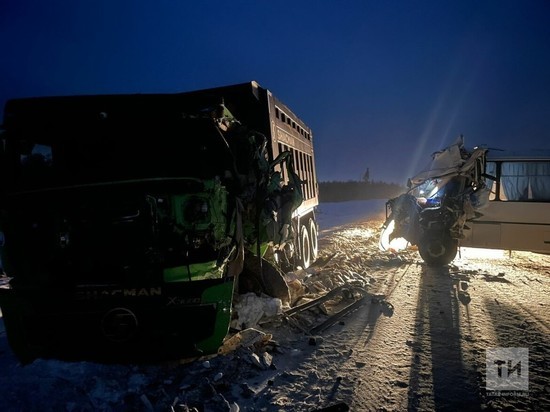 В ДТП у села Тарлаши в Татарстане пострадали водители автобуса и грузовика