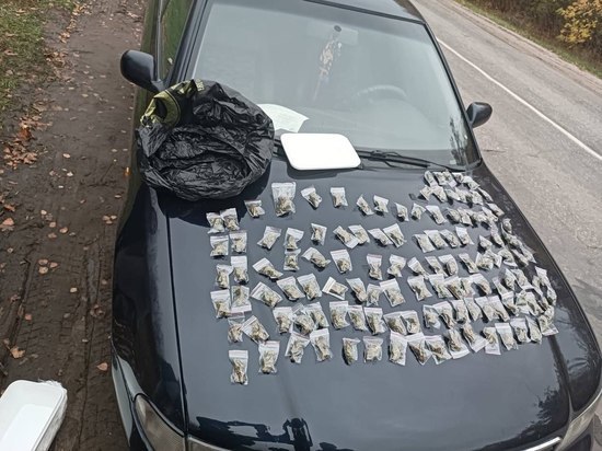 Жителя Пензенской области задержали со 119-пакетами марихуаны в авто