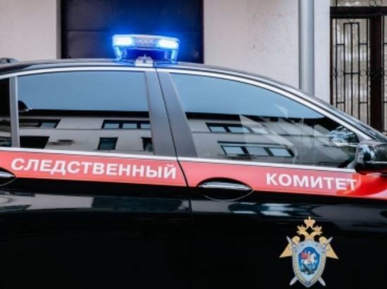 В Петербурге мать выброшенного из окна новорожденного ребенка призналась в убийстве