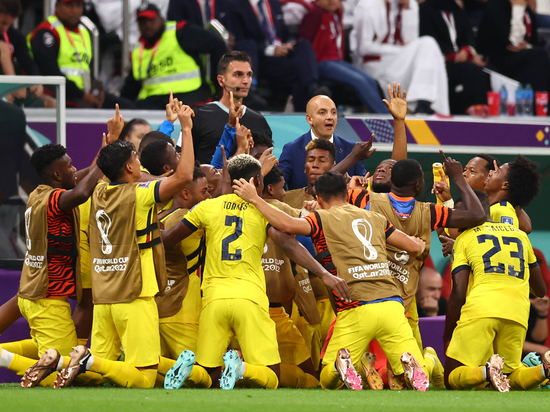 ФИФА расследует гомофобные кричалки фанатов Эквадора на ЧМ в Катаре
