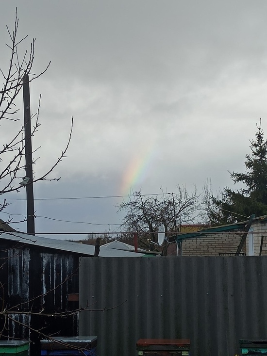 Чудеса в ноябре: в небе над Пензой появилась радуга
