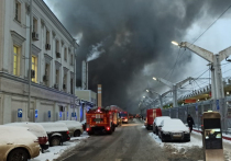 Обвиняемый в причастности к пожару на цветочном складе на Ленинградском вокзале Антон Мачелюк - директор фирмы «Ново Флоре» - признал свою вину