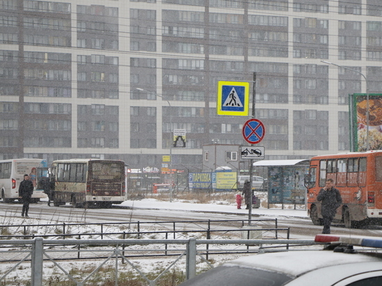Заброшенные и побитые машины портят вид жителям Мурино в центре города
