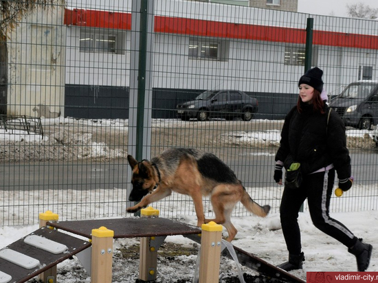 Во Владимире откроют новую площадку для выгула собак