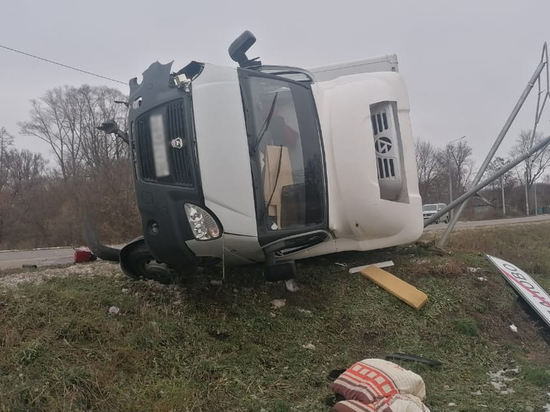 В Курской области «Газель» снесла дорожный знак и опрокинулась