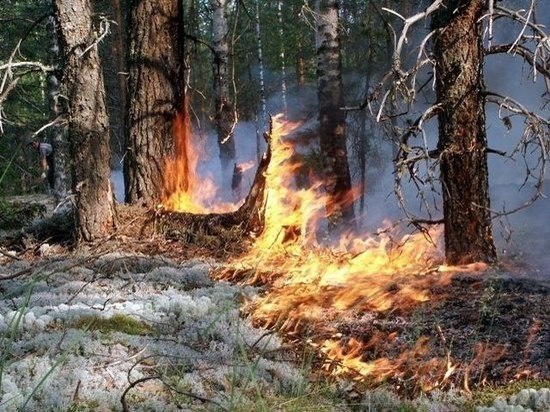 В двух районах Дагестана пытаются потушить пожары