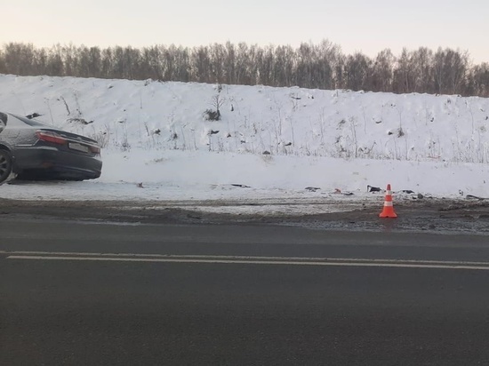 Водитель и пассажир Skoda Octavia погибли в ДТП под Новосибирском
