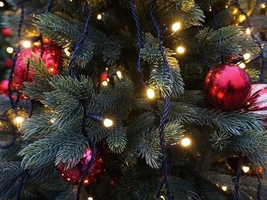 В пунктах размещения беженцев Донбасса установят новогодние елки