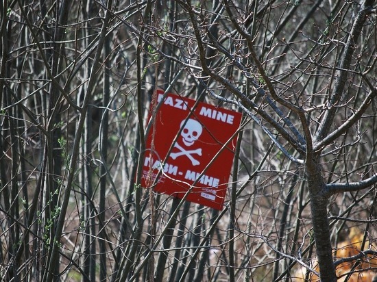 В Энергодаре обнаружили несколько десятков противодесантных мин