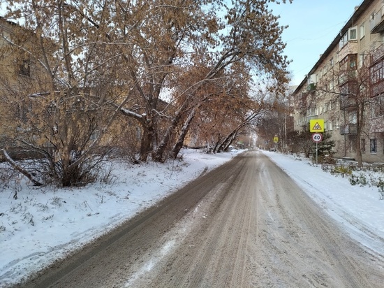 В Новосибирске жители пожаловались на обработку дорог «Бионордом»