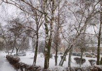 Белгородские коммунальщики продолжают устранять последствия сильного снегопада