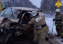 Иномарку смяло в тройном ДТП с фурой в Калужской области 