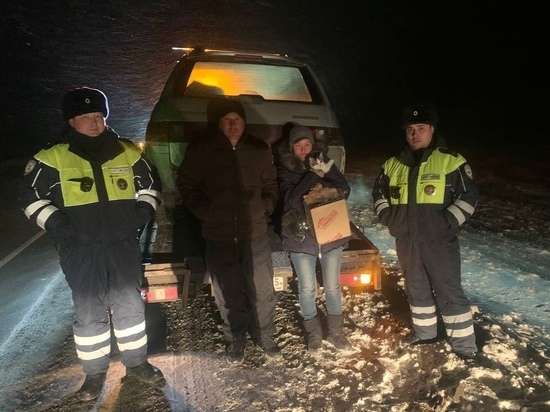 Семья глухонемых омичей замерзла на трассе из-за сломанной машины