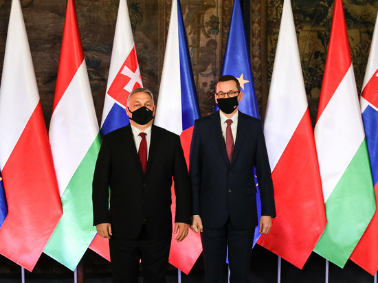 Польский премьер поехал уговаривать Орбана принять в НАТО Швецию и Финляндию