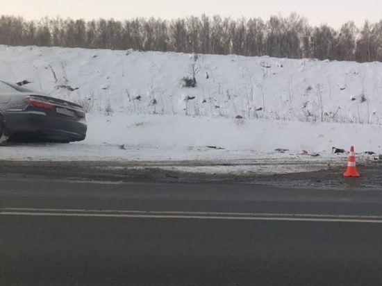 Два человека погибли в ДТП по пути из Кемерова в Новосибирск