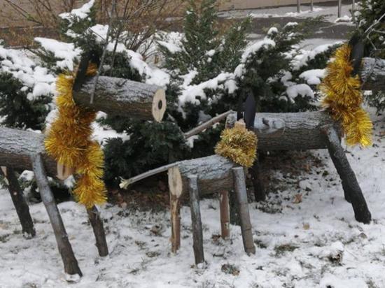 Территорию Рязанского кардиодиспансера украсили деревянными фигурами оленей