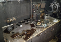 В городе Советске Калининградской области при пожаре в квартире погиб трехлетний ребенок