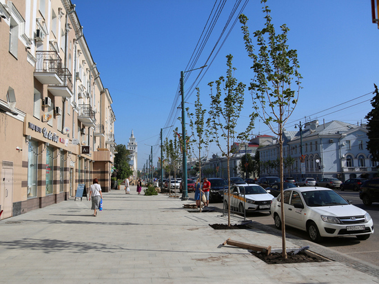 В Воронеже над проспектом Революции очистят небо к лету 2023 года