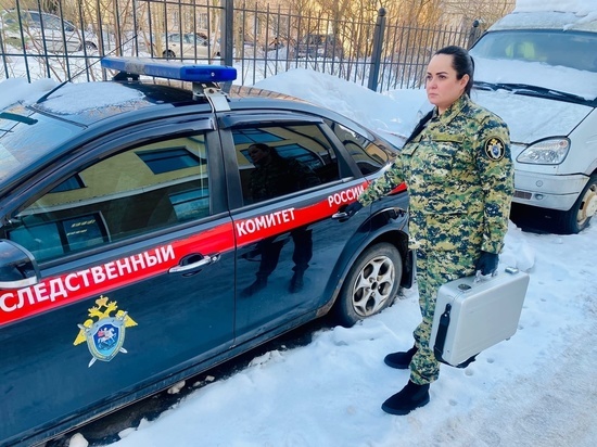 В суд ушло уголовное дело о сходе снега на женщину и ребенка в Великом Новгороде