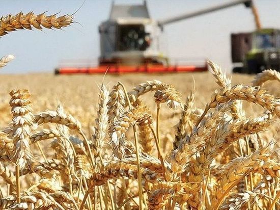 Саратовская область вошла в топ-5 регионов по сбору зерновых культур