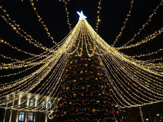 Новогоднюю елку в Зеленоградске установят 1 декабря