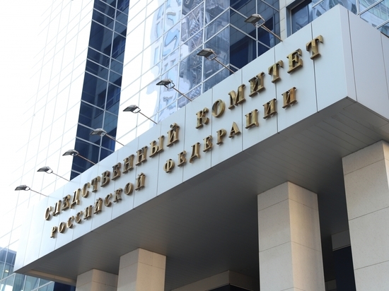 Бастрыкин потребовал повторного доклада о нарушении прав инвалида-колясочника в Петербурге