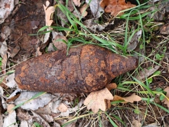 Житель Первомайского района в лесу обнаружил  боеприпас времён Великой Отечественной войны