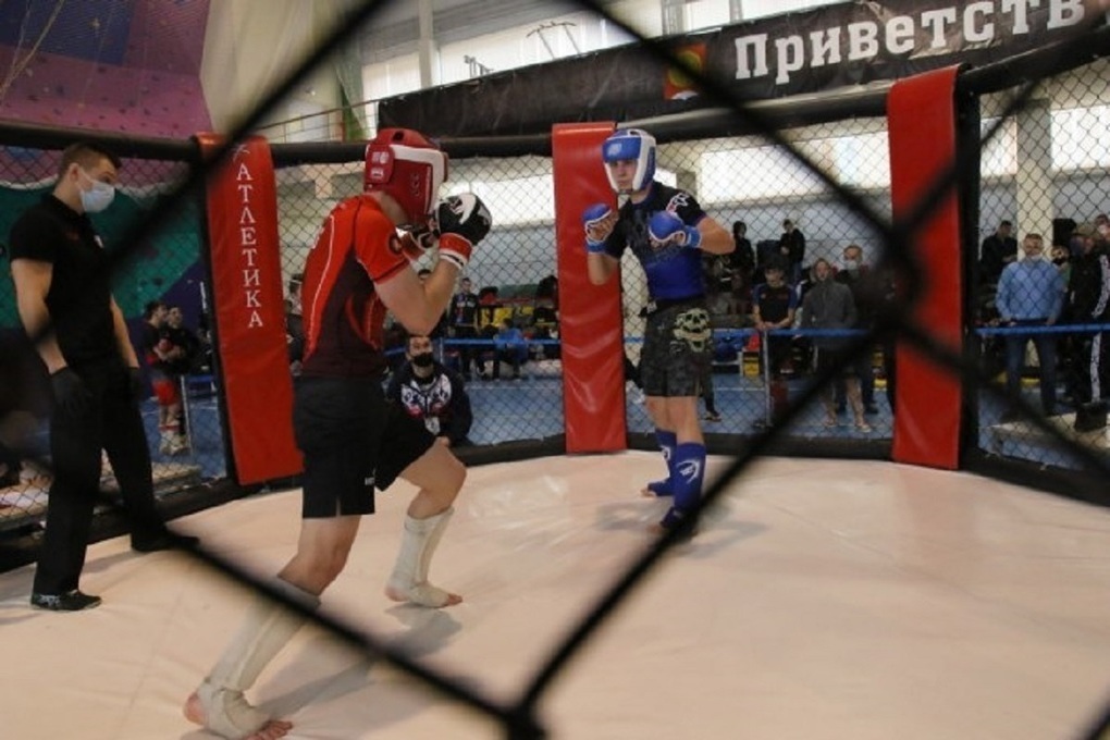 Tournament in mixed martial arts for the Cup of the head will be held in Serpukhov