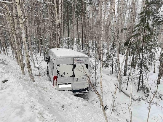 На Южном Урале микроавтобус и легковушка после столкновения вылетели с трассы