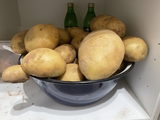 Как правильно хранить картофель дома