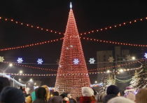 В Барнауле, скорее всего, не будут устанавливать 32-метровую новогоднюю ель