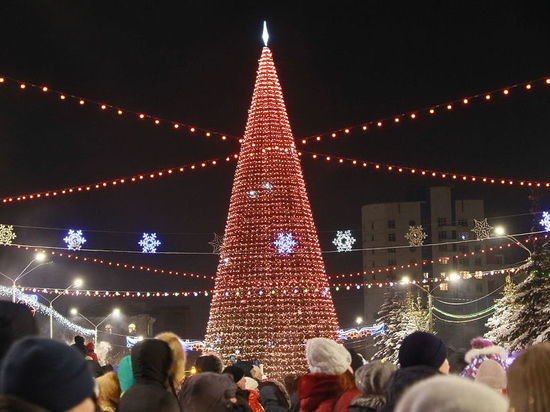 Барнаульцы могут остаться без главной елки на Новый год