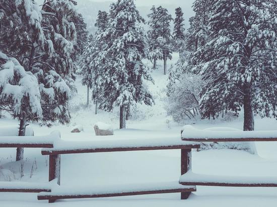 Циклон из Приморья обрушит снег и дождь на Сахалин